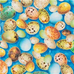 Uccello Maculato Pastello Uova Di Pasqua Tessuto di Quilting Treasures