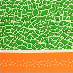 tela de fruta oxford doble borde naranja piel de mel�n verde Tela de Kokka