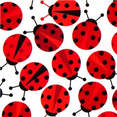 Ladybirds on White Stretch Fabric by Robert Kaufman
