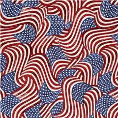 tessuto Stati Uniti d'America bandiere Tessuto di Timeless Treasures