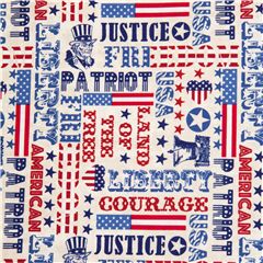 tessuto USA patriottico scritte rosse bianche blu Tessuto di Timeless Treasures