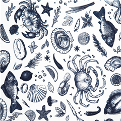 Catch of the Day Ocean Creatures Fabric by Robert Kaufman