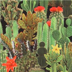 Tela negra de Jap�n con cactus verdes y flores Tela de Kokka