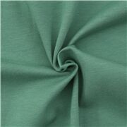 Solid Eucalyptus Green Cotton Jersey