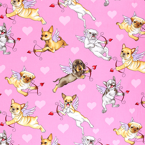Amour De Chiots Cupidons Chiens