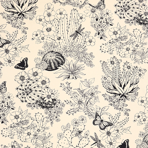 Hacienda Cactus Farfalla e Libellula Illustrate 4