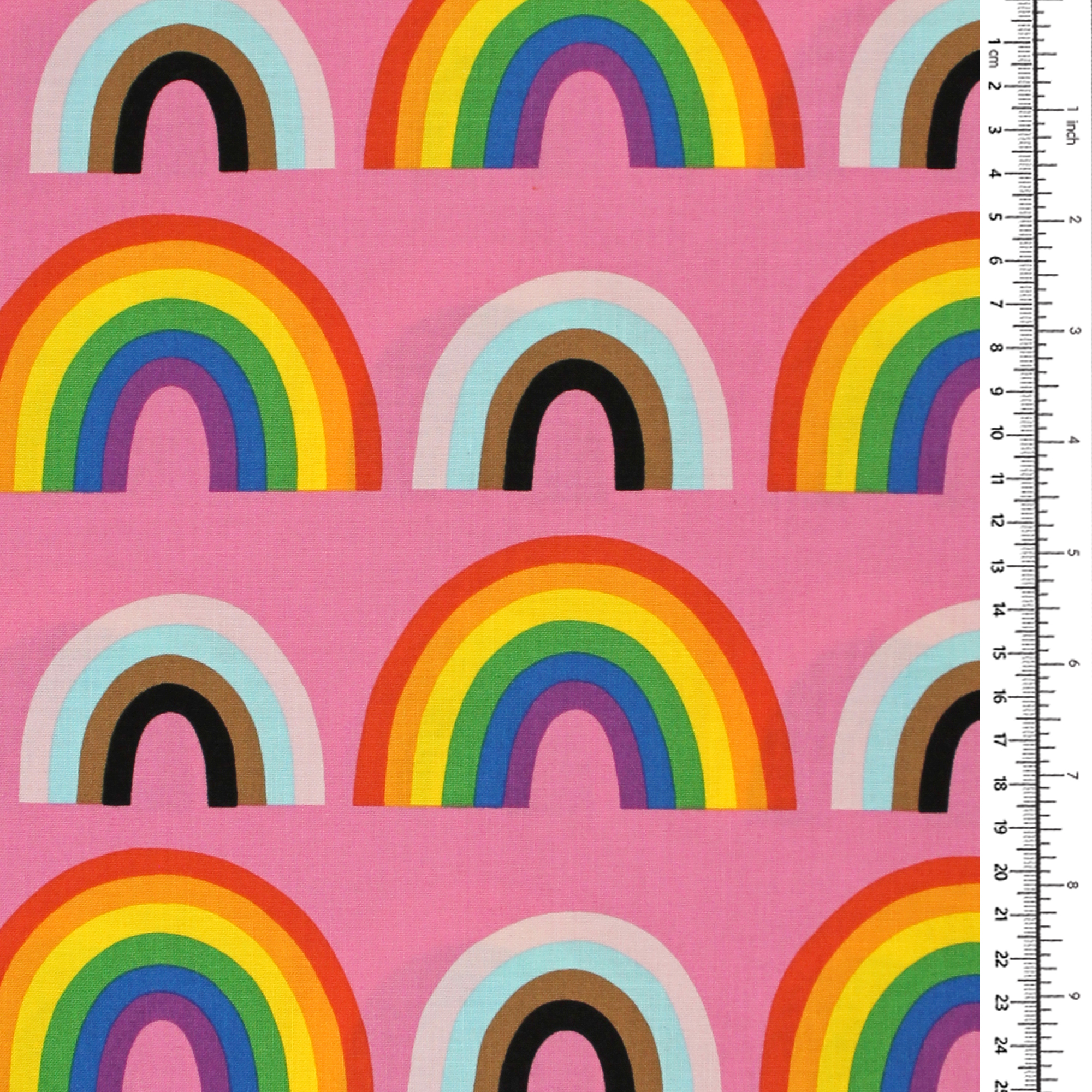 Doppelter Regenbogen Stolz Liebe Ist Liebe 1