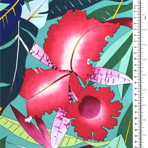 Au Copa Fleurs Tropicales 1