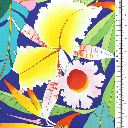 Au Copa Fleurs Tropicales 1