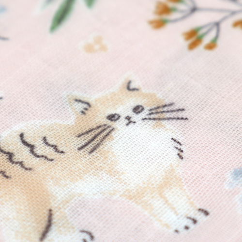 Tempo Di Gioco Del Gatto Piante Da Giardino 5