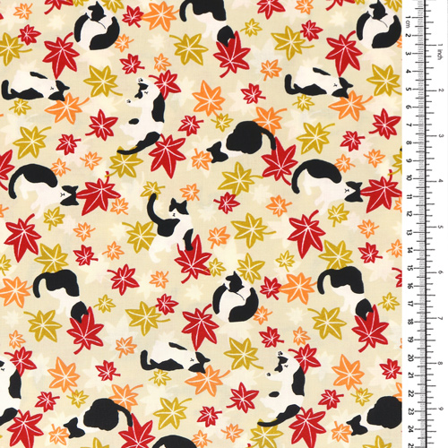 Chat Feuilles D’�rable Automne 1