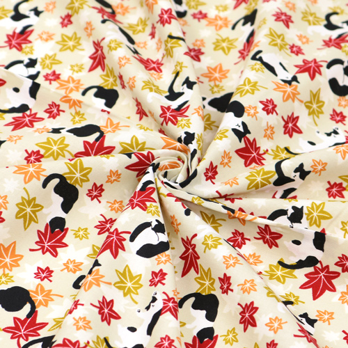 Chat Feuilles D’�rable Automne 2
