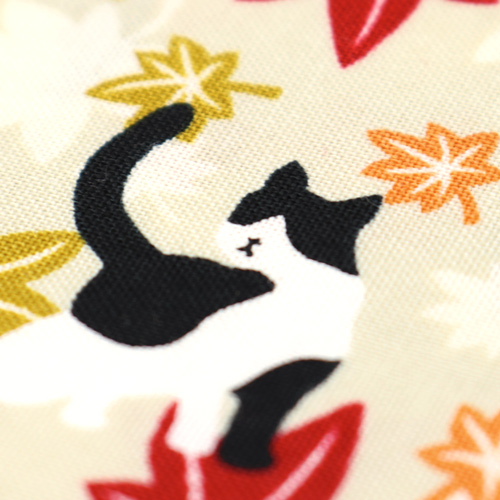 Chat Feuilles D’�rable Automne 5