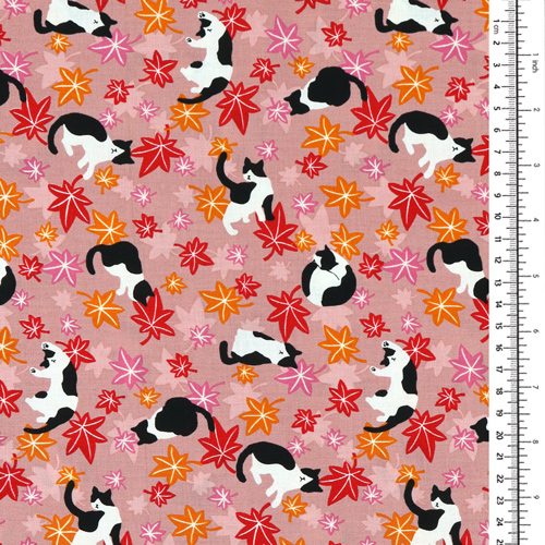 Chat Feuilles D’�rable Automne 1