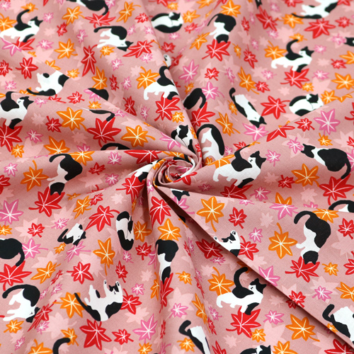 Chat Feuilles D’�rable Automne 2