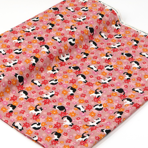 Chat Feuilles D’�rable Automne 3
