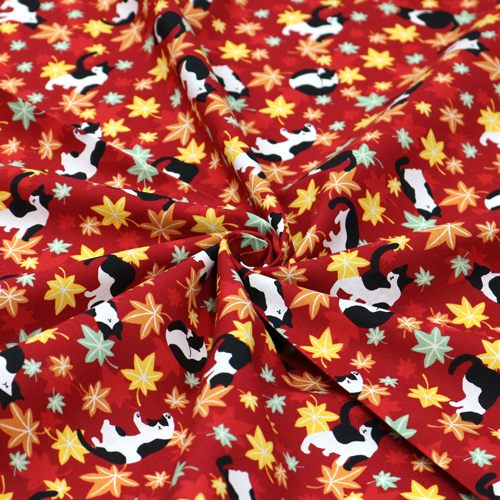 Chat Feuilles D’�rable Automne 2