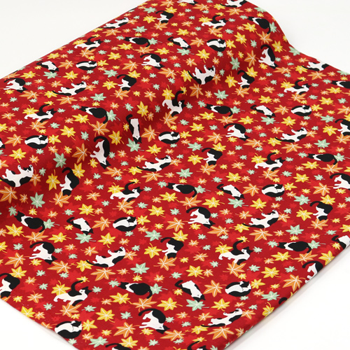 Chat Feuilles D’�rable Automne 3