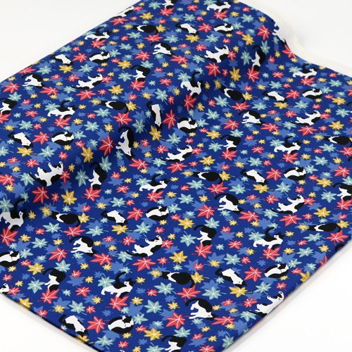 Chat Feuilles D’�rable Automne 3