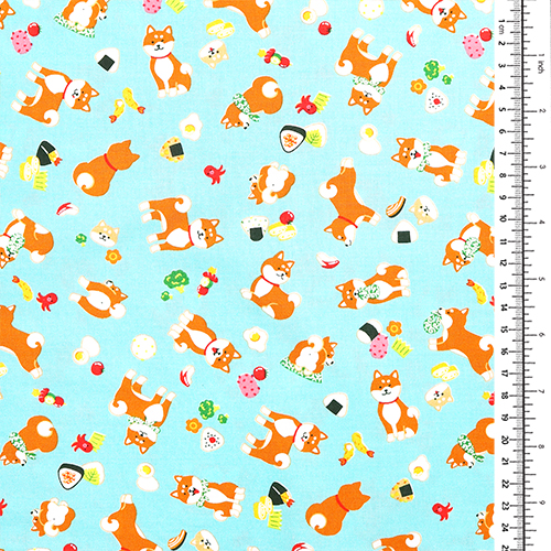 Shiba-Inu-Hund Bento-Mittagessen 1