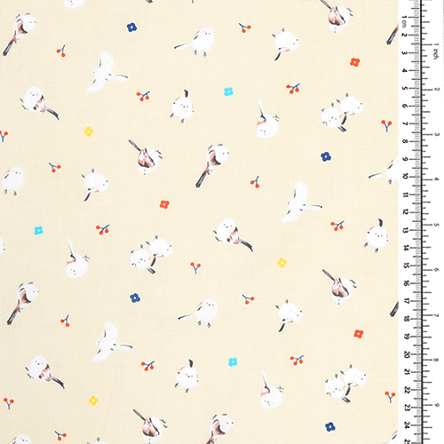 Dolci Uccelli Shimaenaga Giapponesi Ciliegia 1