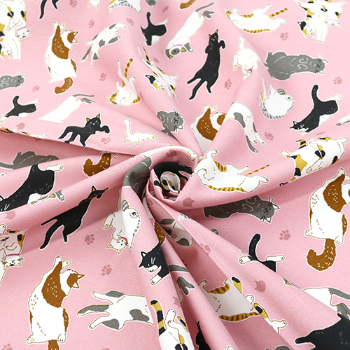 Paw Print Stretching Playing Cats 2