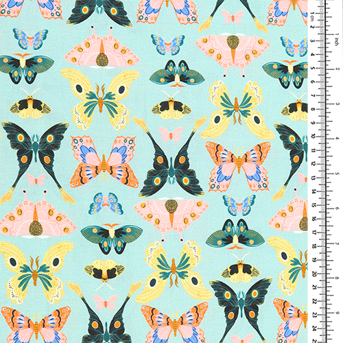 Offene Schmetterlingsflügel Flora & Fauna 1