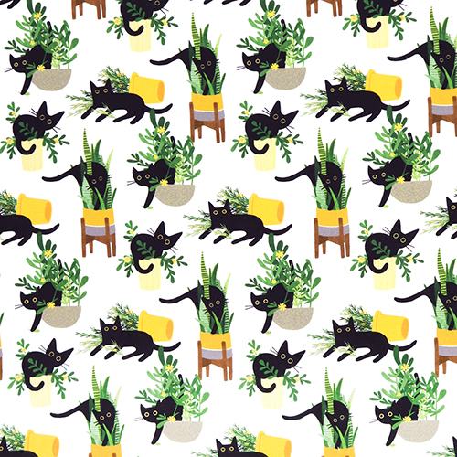 Juste Ronronplanté Chats Plantes En Pot