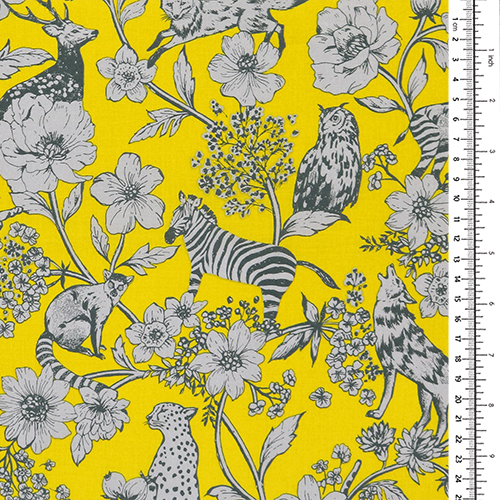 Wonder Illustrated Plants Animals 1