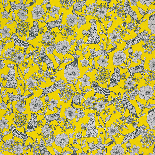Wonder Illustrated Plants Animals 4