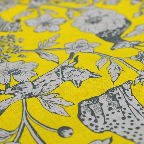 Wonder Illustrated Plants Animals 5