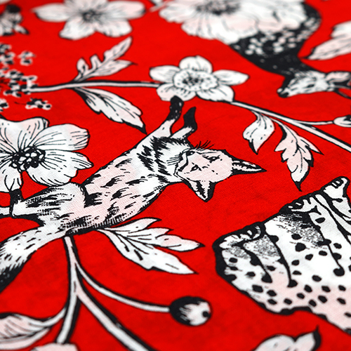 Maravilla Plantas Animales Ilustrados 5