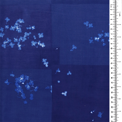 Microcosmos Petites Fleurs Fanées 1