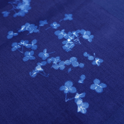 Microcosmos Petites Fleurs Fanées 5