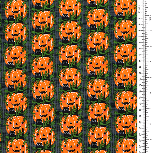 Rangées De Chatons Chats-Citrouilles D’Halloween 1