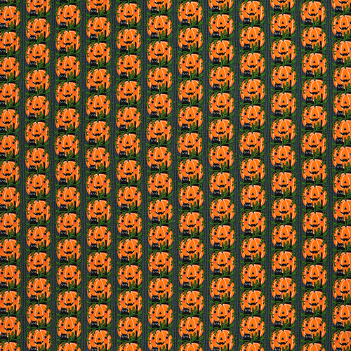 Rangées De Chatons Chats-Citrouilles D’Halloween 4