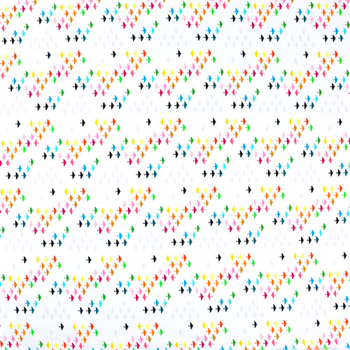 In Flight Cori Dantini Ce Que L’Oiseau A Dit Blanc 4