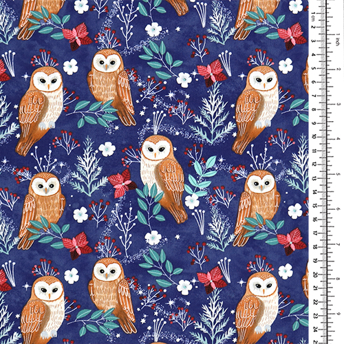 Owl Magic Frosty Midnight Christmas 1