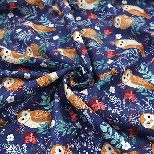 Owl Magic Frosty Midnight Christmas 2