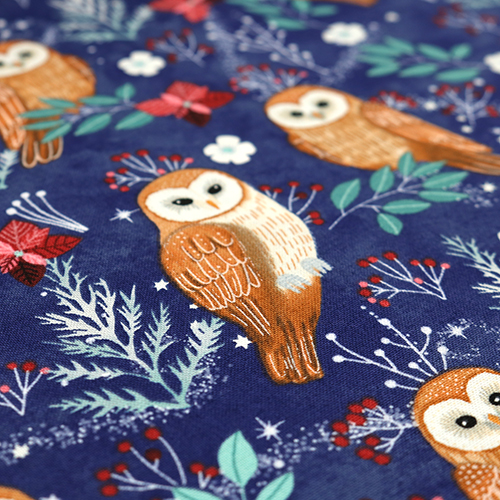 Owl Magic Frosty Midnight Christmas 5