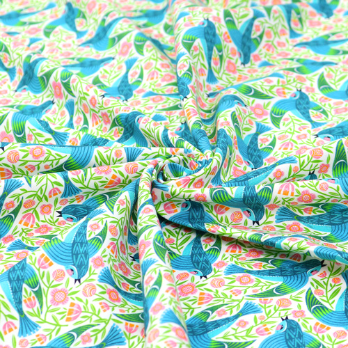 Blue Birdy Cori Dantini Ce Que L’Oiseau A Dit Voler 2