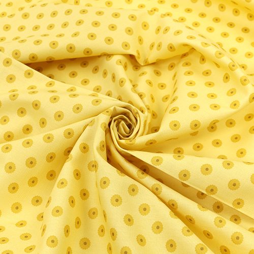 Punto Di Fiore Giallo Frullatore Cromatico 2