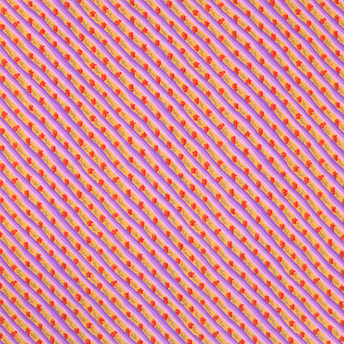 Diagonal Poppy Orange Kaffe Fassett From The Archives 4