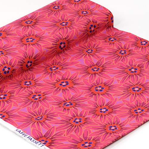 Potentilla Red Kaffe Fassett Des Archives 3