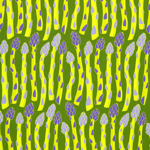 Esp&aacute;rragos Cultivados En Casa En El Huerto