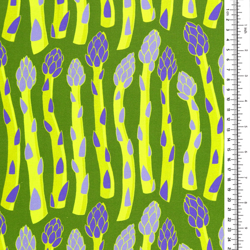 Asparagi Coltivati In Casa Nell'Orto 1