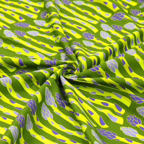 Asparagi Coltivati In Casa Nell'Orto 2