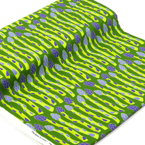 Asparagi Coltivati In Casa Nell'Orto 3