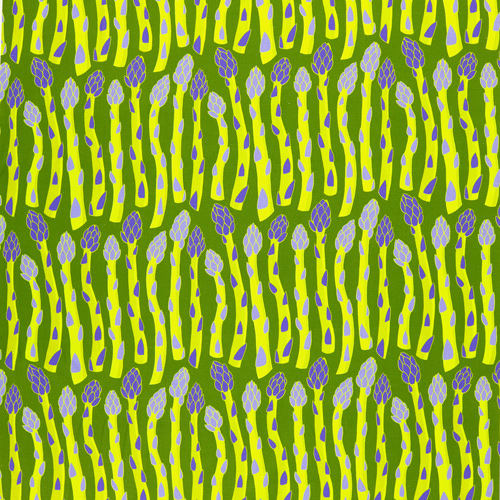 Asparagi Coltivati In Casa Nell'Orto 4