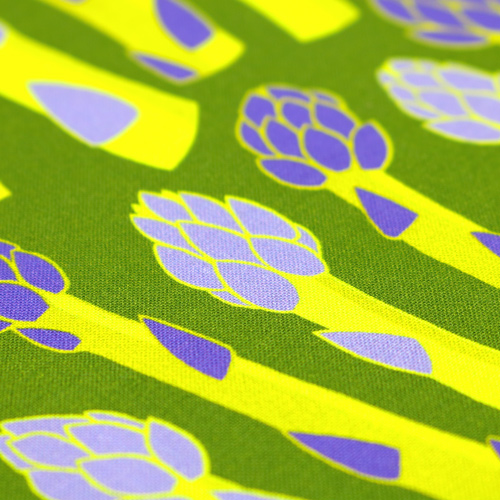 Asparagi Coltivati In Casa Nell'Orto 5